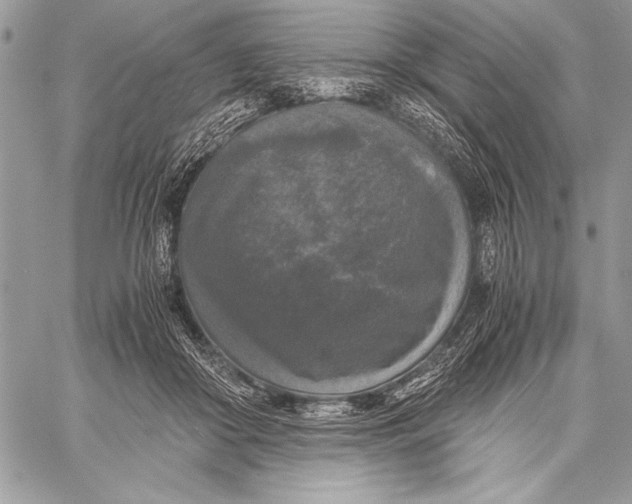 X0000058110410200510171249