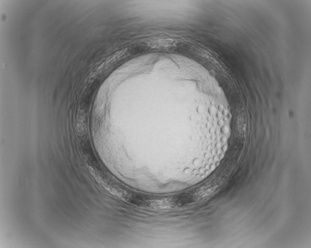 X0000058110411200510171249