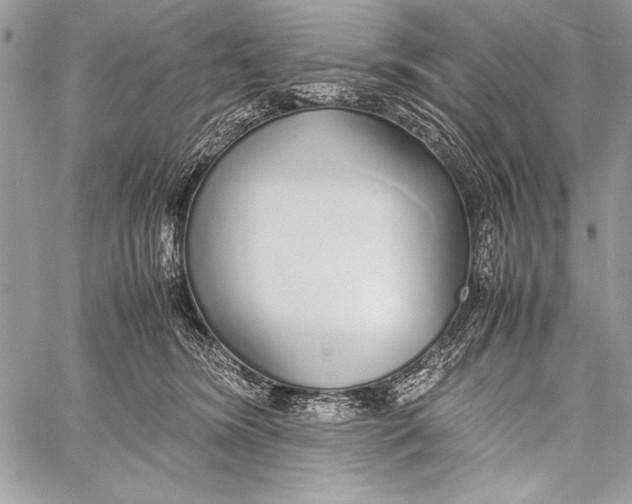 X0000058110420200510171249