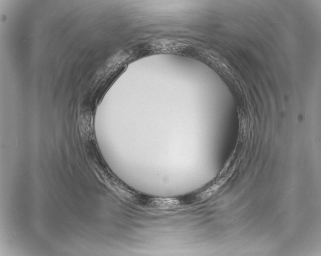 X0000058110429200510171249
