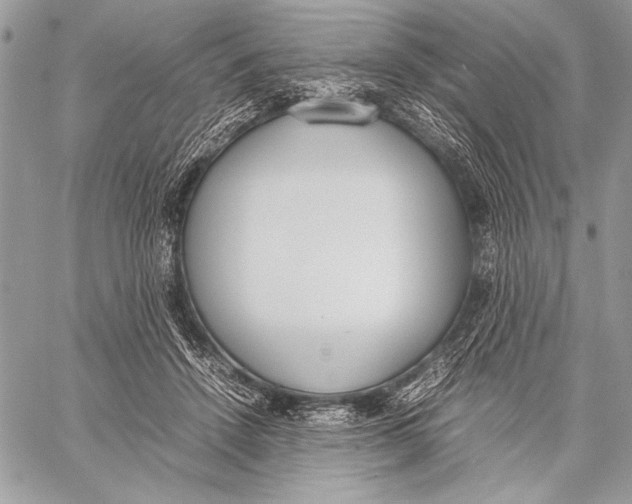 X0000058110456200510171249