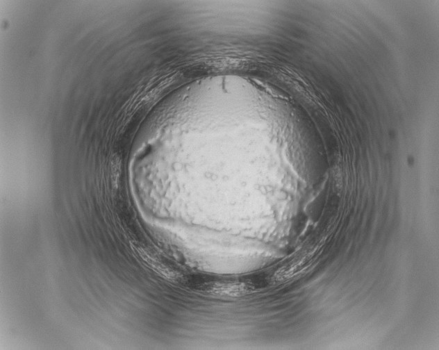 X0000058110458200510171249