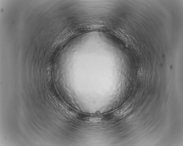 X0000058110462200510171249
