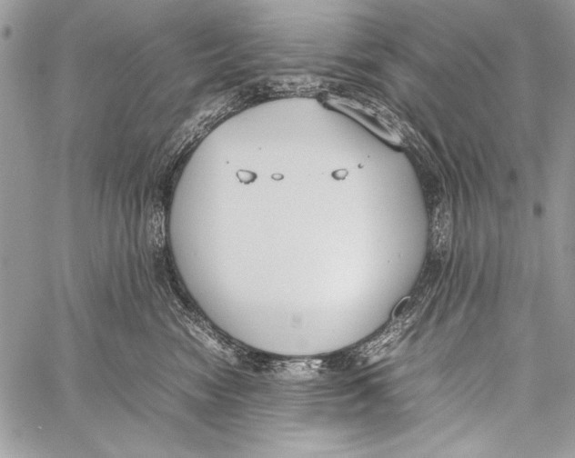 X0000058110474200510171249