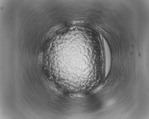 X0000058110475200510171249