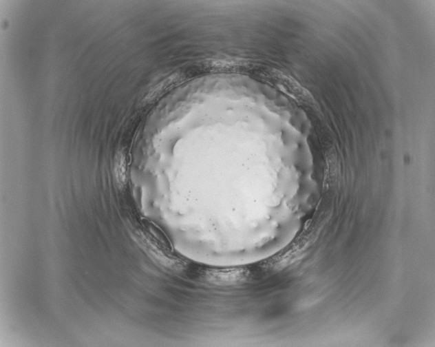 X0000058110479200510171249