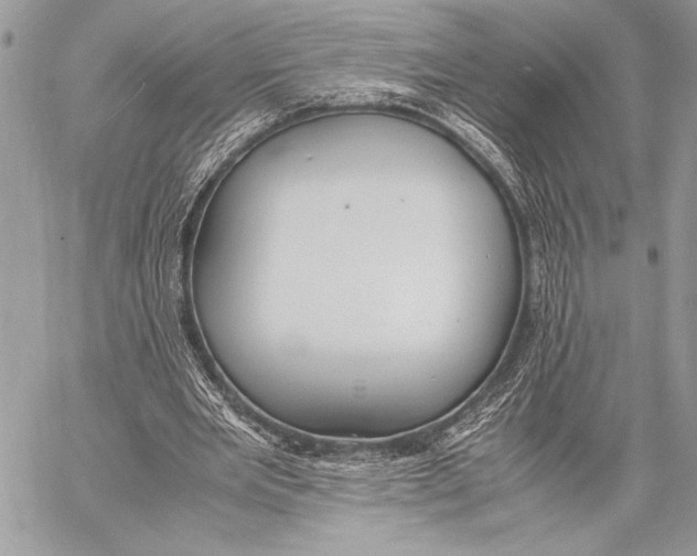 X0000058110485200510171248
