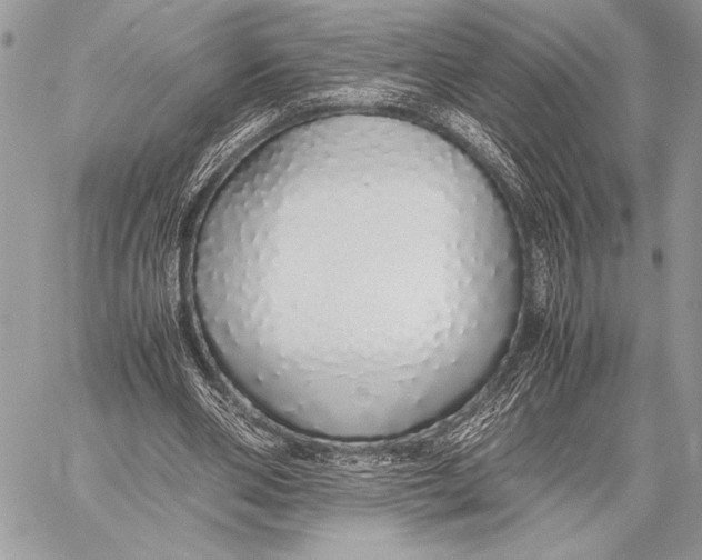 X0000058110486200510171248