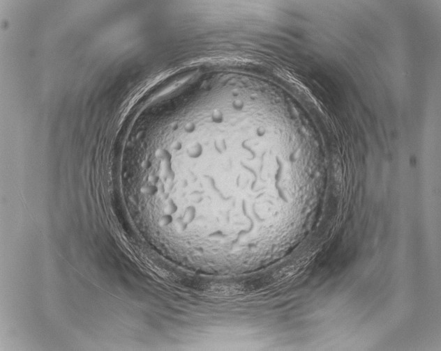 X0000058110487200510171248