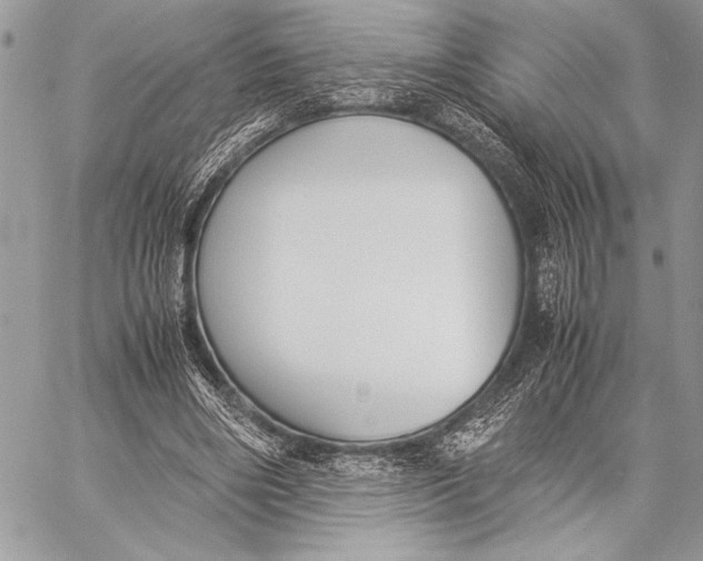 X0000058110490200510171248