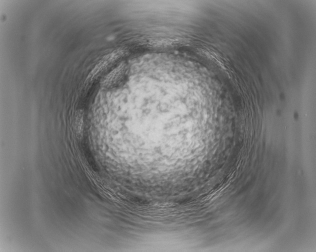 X0000058110495200510171248