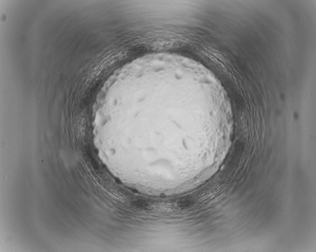 X0000058110499200510171248