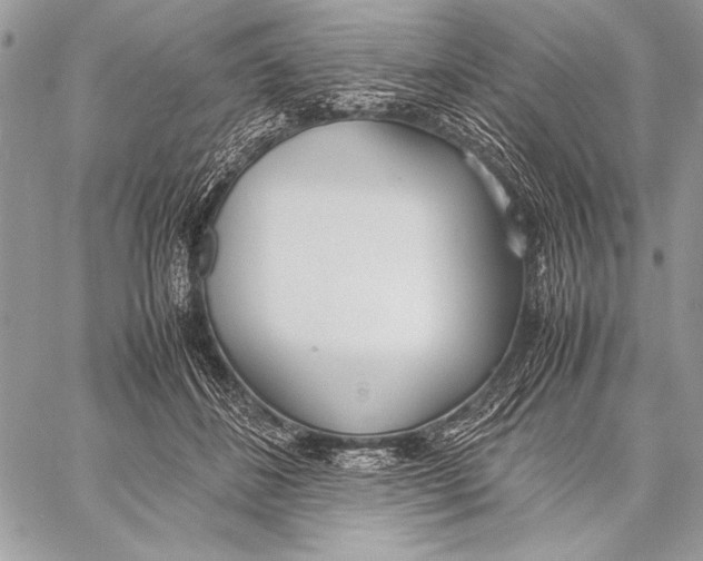 X0000058110508200510171248