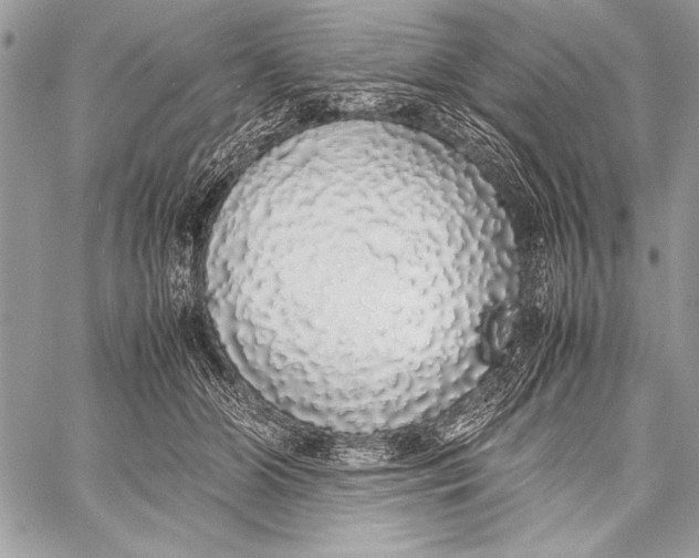 X0000058110510200510171248