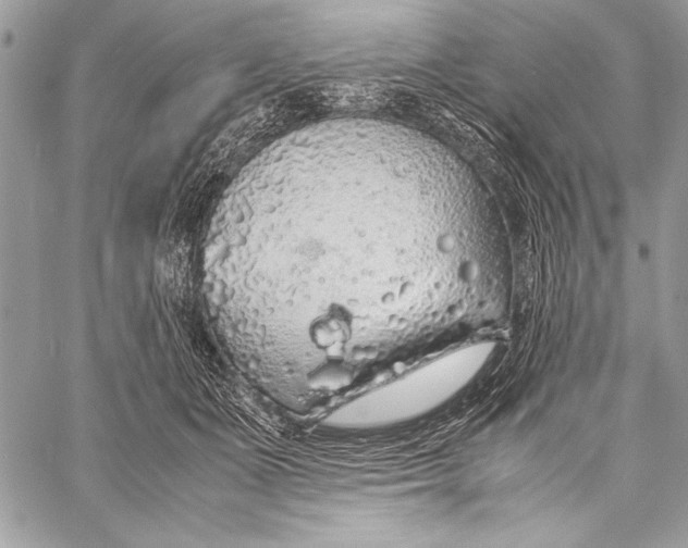X0000058110511200510171248