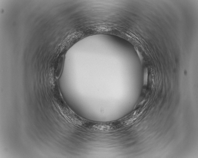 X0000058110512200510171248