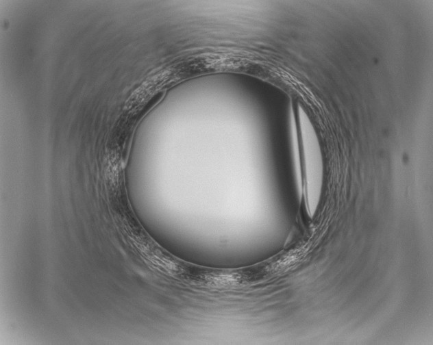 X0000058110513200510171248