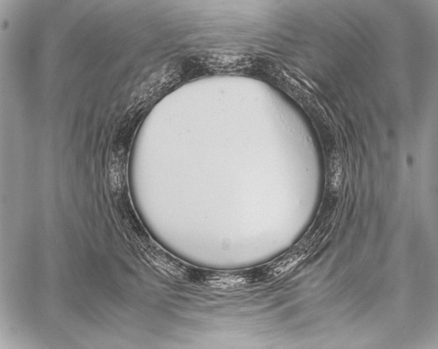 X0000058110515200510171248