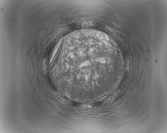 X0000058110519200510171247