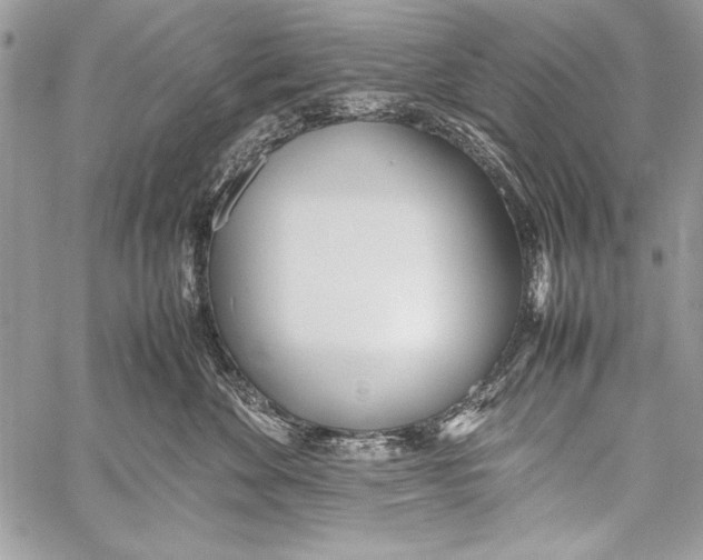 X0000058110524200510171247