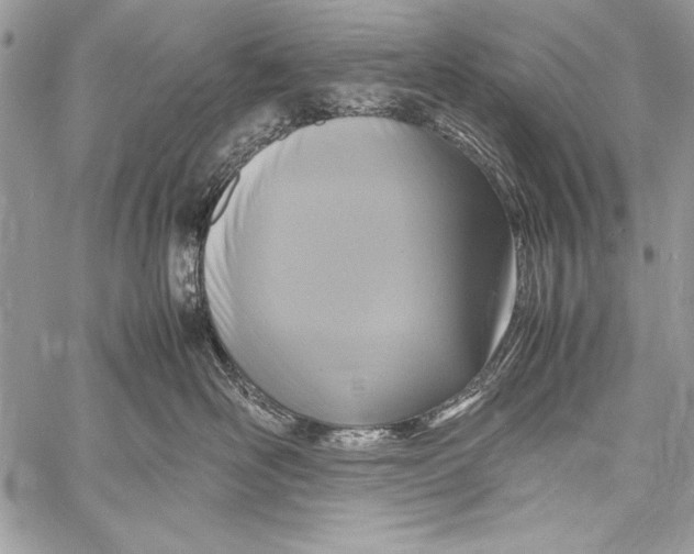 X0000058110526200510171247