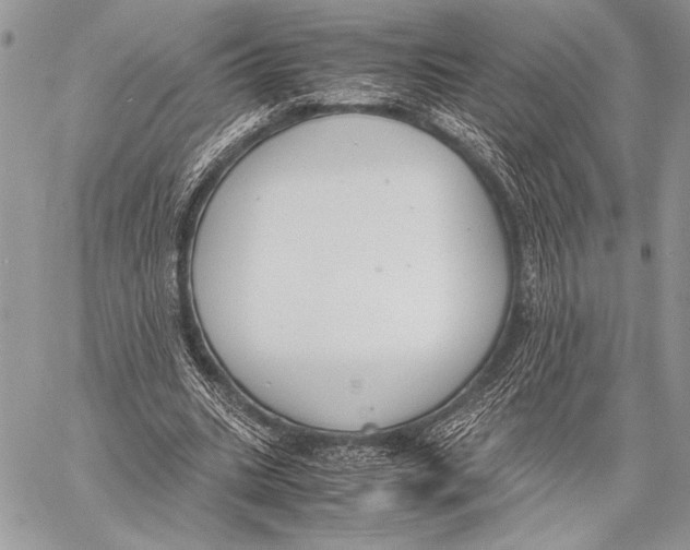 X0000058110535200510171247