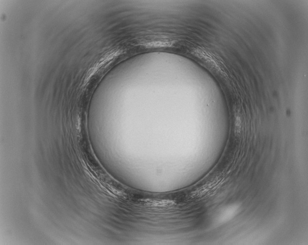 X0000058110539200510171247