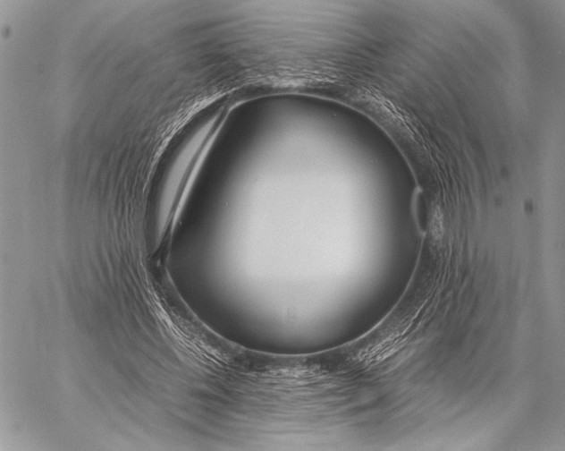 X0000058110540200510171247