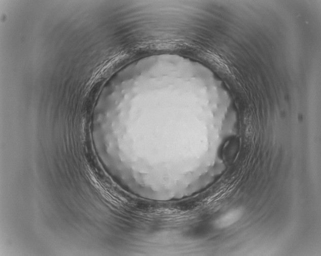 X0000058110542200510171247