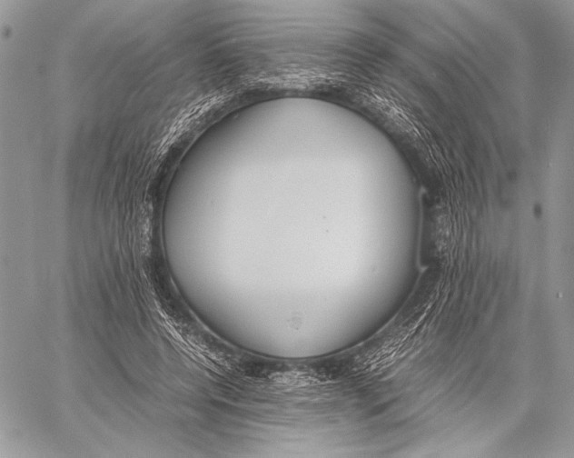 X0000058110544200510171247