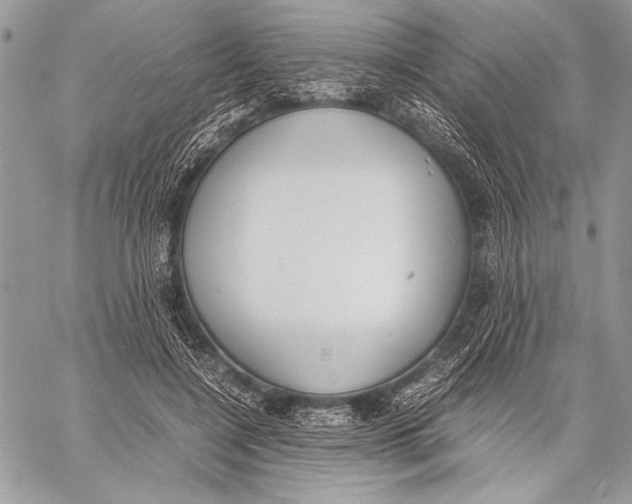 X0000058110548200510171247