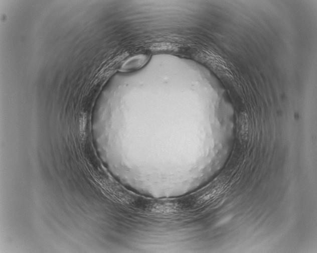 X0000058110550200510171247