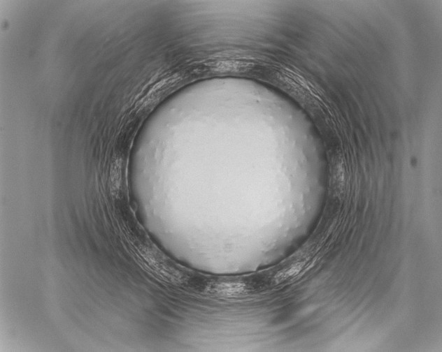 X0000058110554200510171247