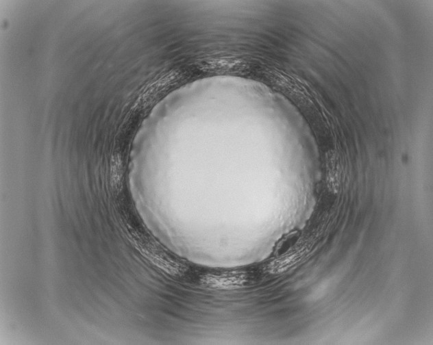 X0000058110563200510171247