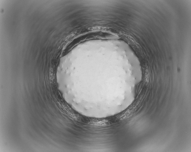 X0000058110569200510171247