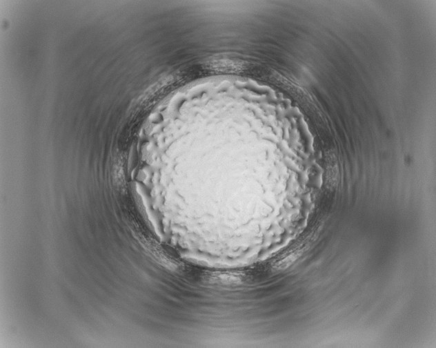 X0000058110573200510171247