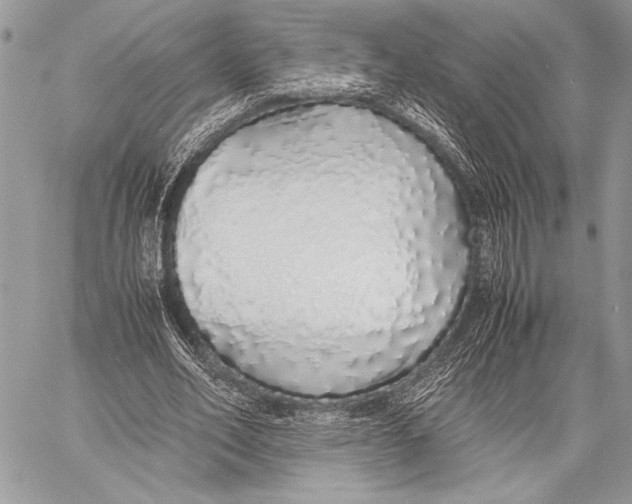 X0000058110582200510171246