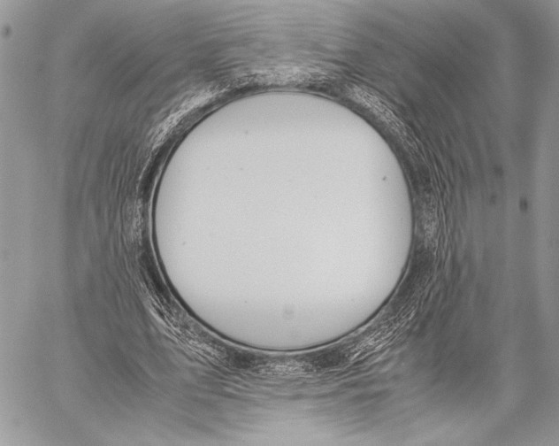 X0000058110583200510171246