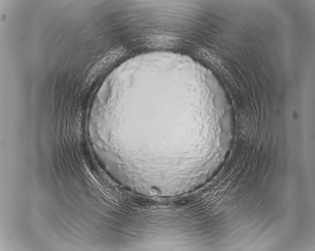 X0000058110586200510171246
