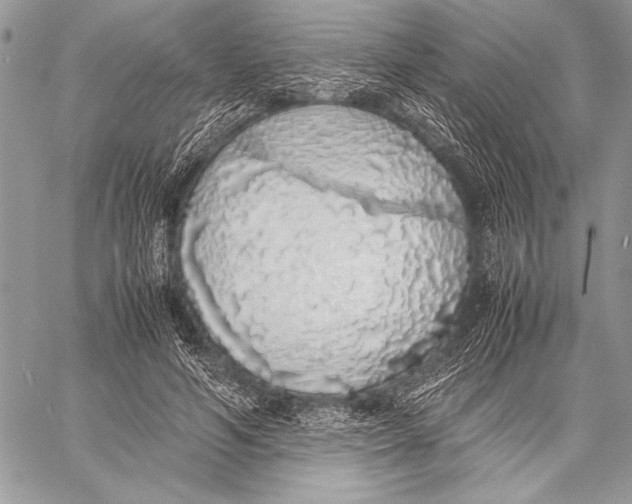 X0000058110594200510171246