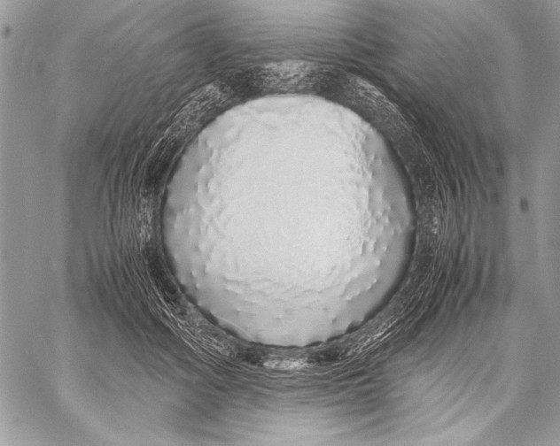 X0000058110602200510171246