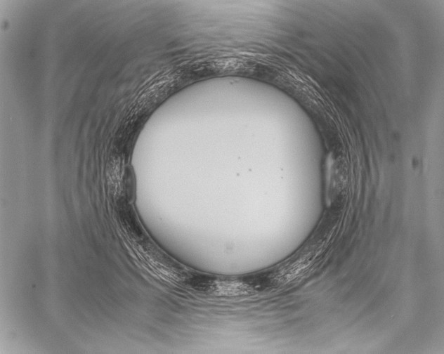 X0000058110605200510171246
