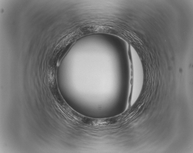 X0000058110607200510171246