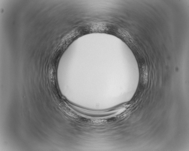 X0000058110619200510171246