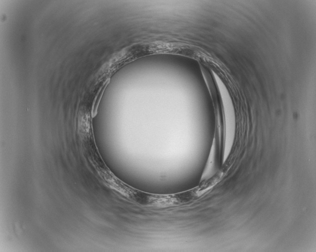 X0000058110621200510171246