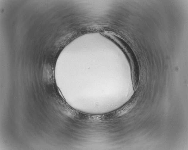 X0000058110624200510171246