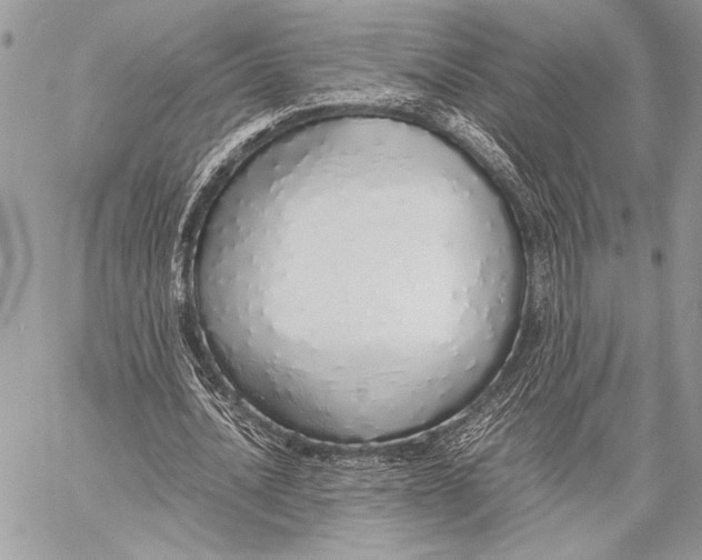X0000058110628200510171245