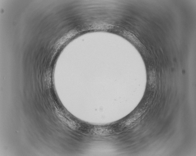 X0000058110632200510171245