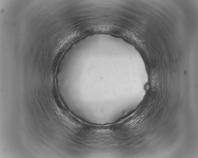 X0000058110637200510171245