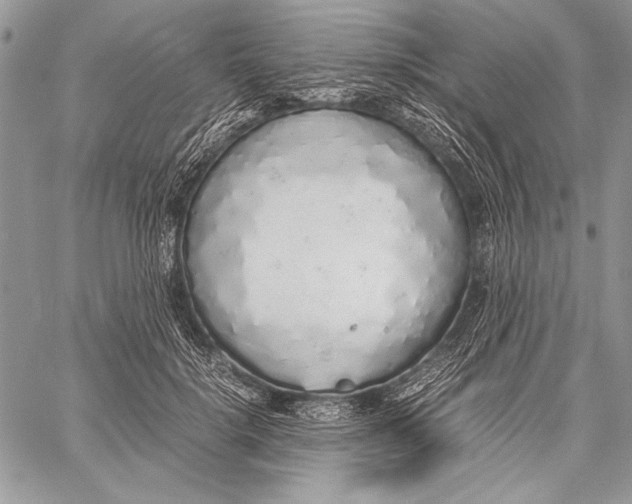 X0000058110652200510171245